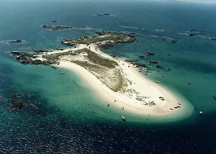 Poniente Con Y Sin Terraza *