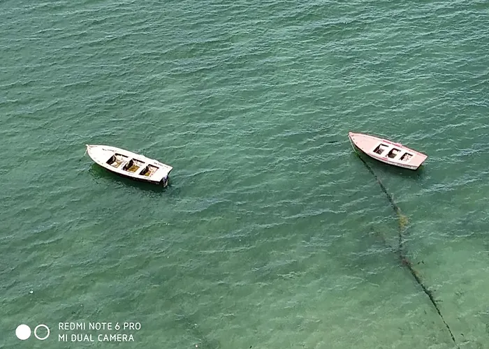 アパート Poniente Con Y Sin Terraza ビラノーバ・デ・アロウサ