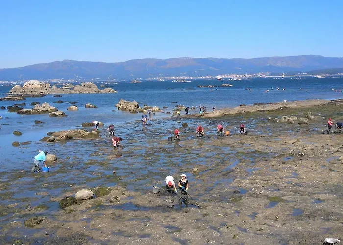 Poniente Con Y Sin Terraza アパート