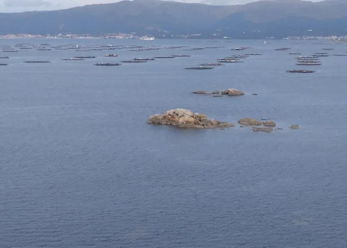 Poniente Con Y Sin Terraza *